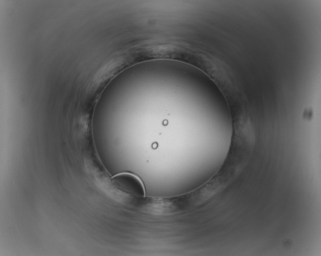 X0000111500278200907141320