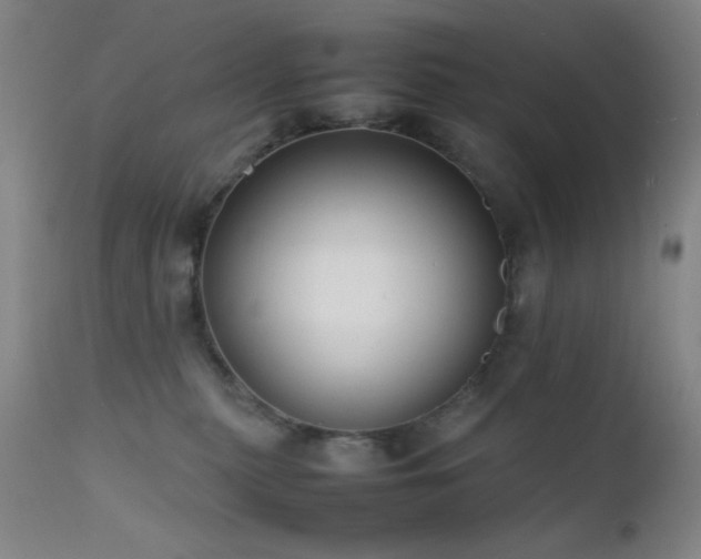 X0000111500279200907141320