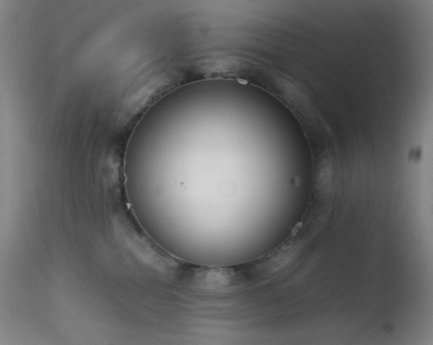 X0000111500282200907141320