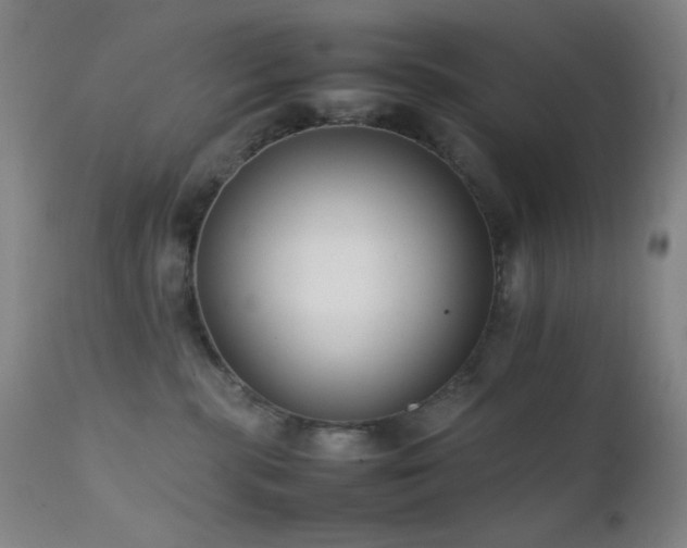 X0000111500283200907141320