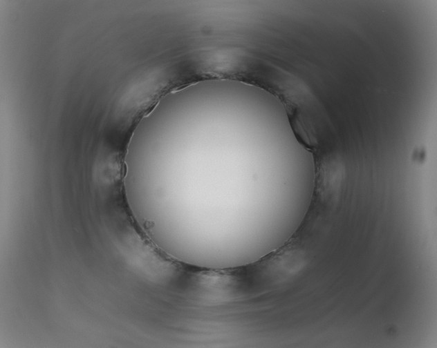 X0000111500284200907141320