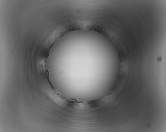 X0000111500286200907141320
