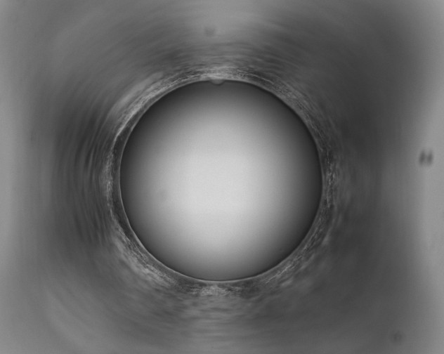 X0000111500290200907141319