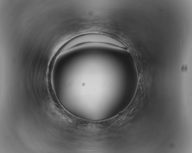 X0000111500292200907141319
