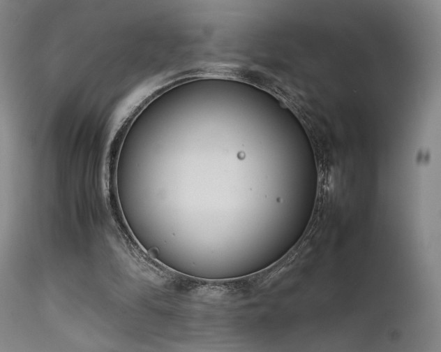 X0000111500294200907141319