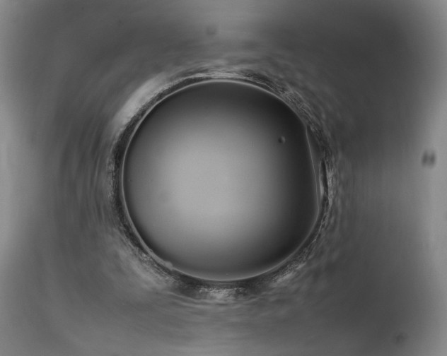 X0000111500295200907141319