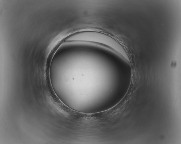 X0000111500296200907141319