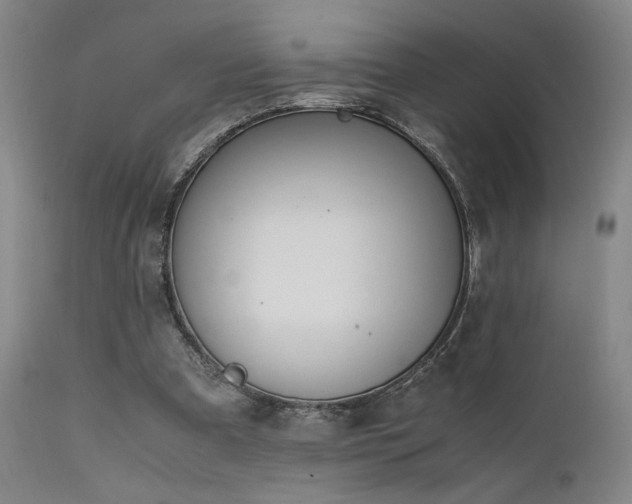 X0000111500297200907141319
