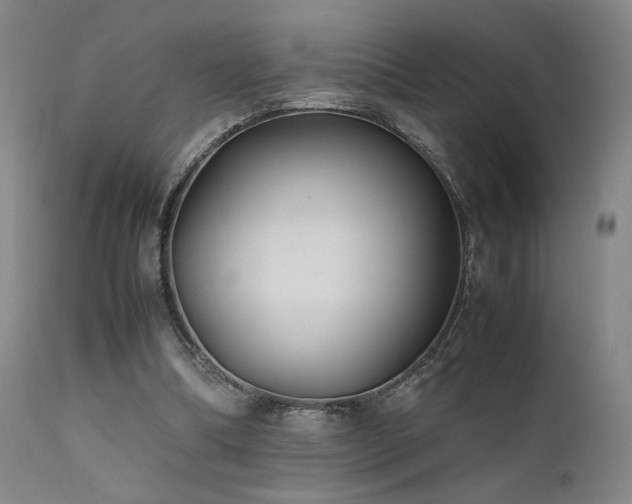 X0000111500298200907141319