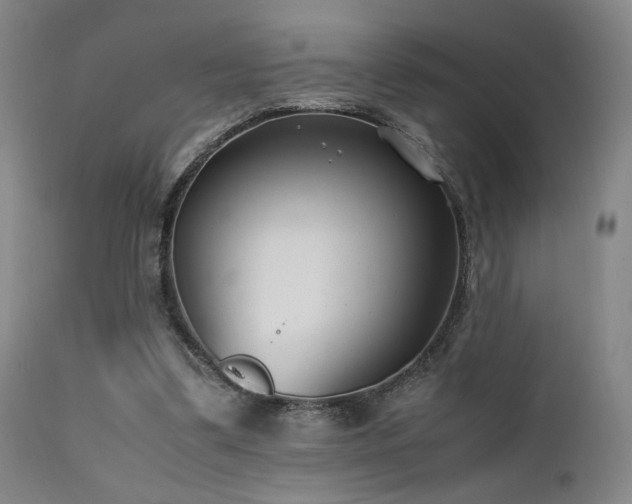 X0000111500299200907141319