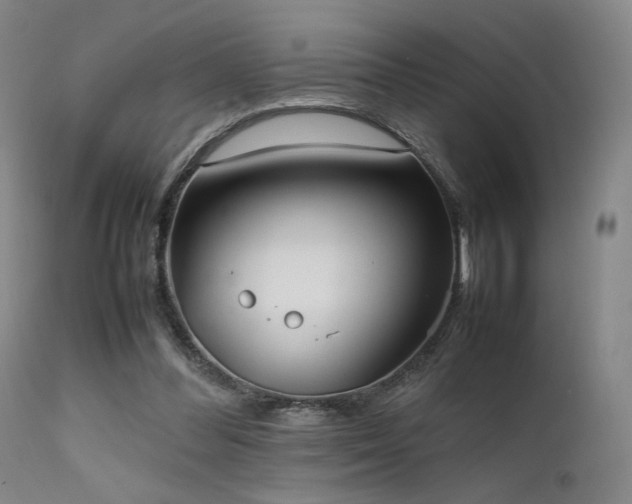 X0000111500300200907141319
