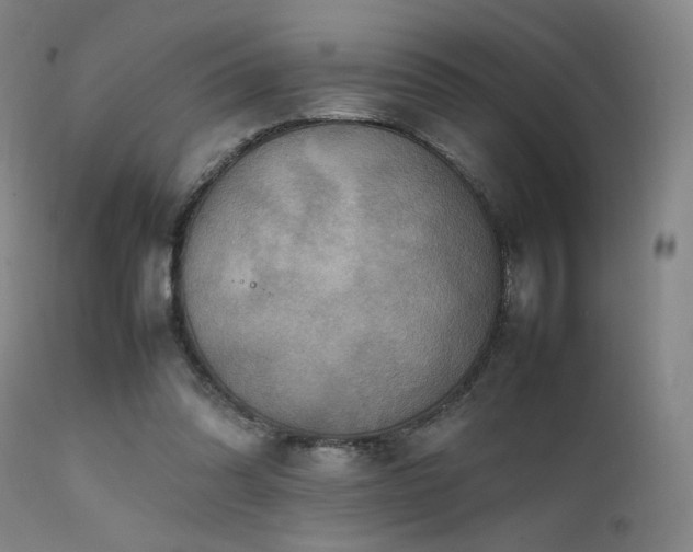 X0000111500302200907141319