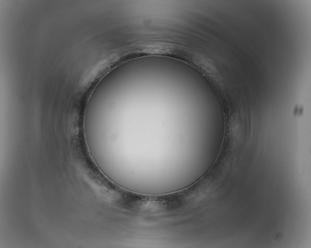X0000111500303200907141319