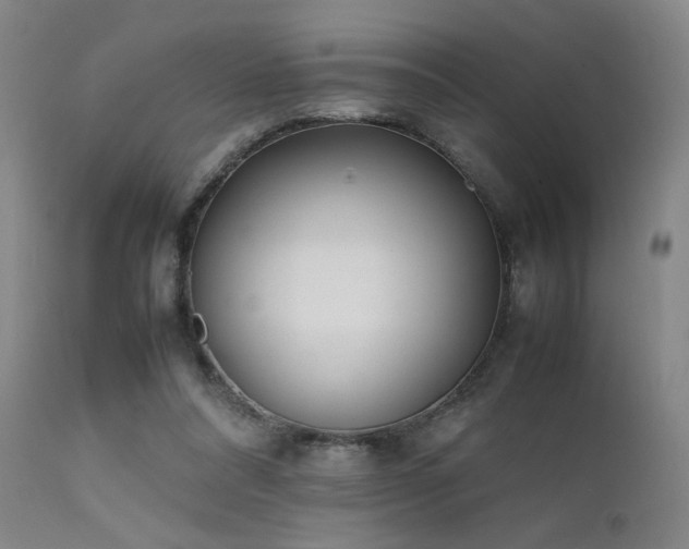 X0000111500304200907141319