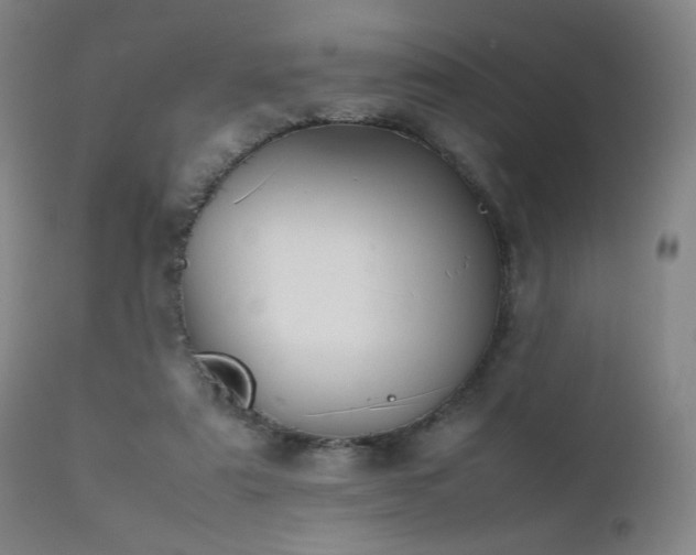 X0000111500307200907141319