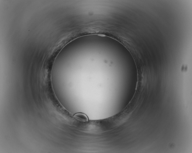 X0000111500308200907141319