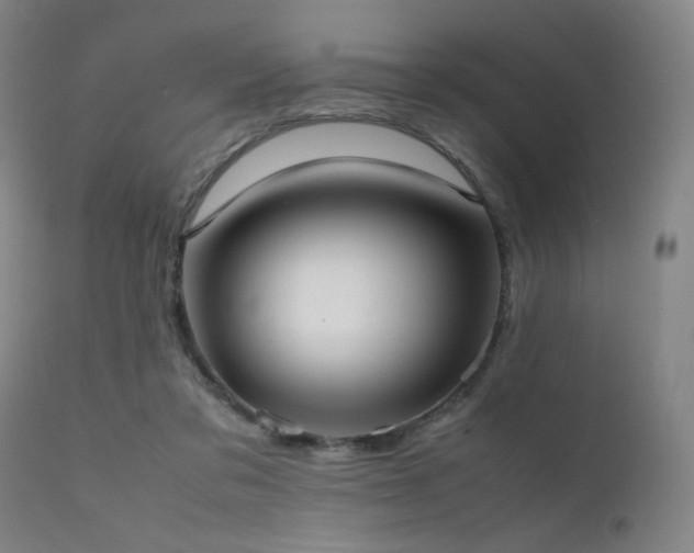 X0000111500309200907141319