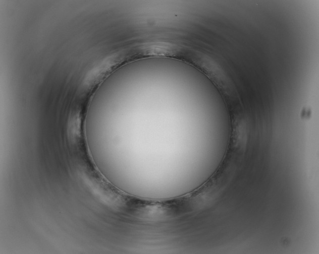X0000111500310200907141319