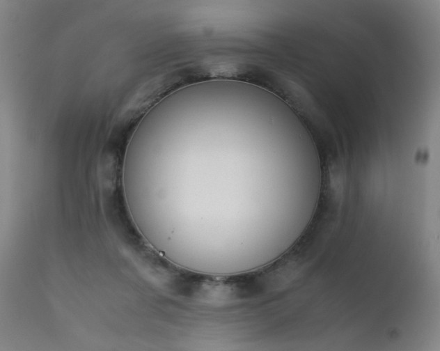 X0000111500311200907141319