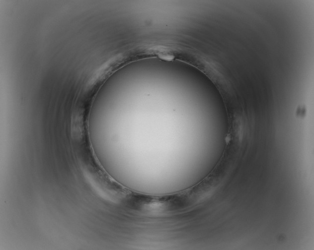 X0000111500312200907141319