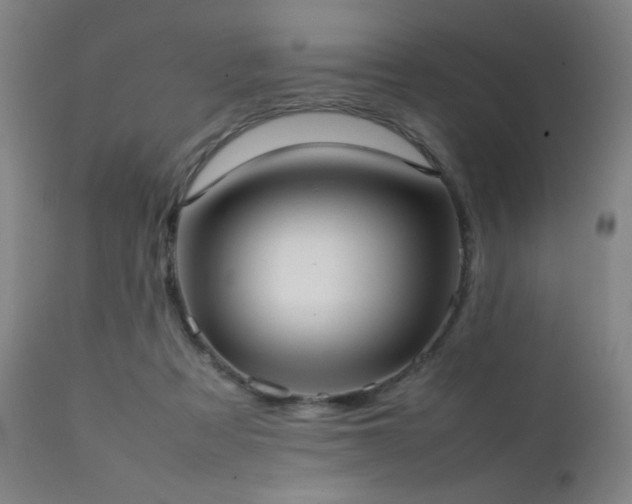 X0000111500313200907141319