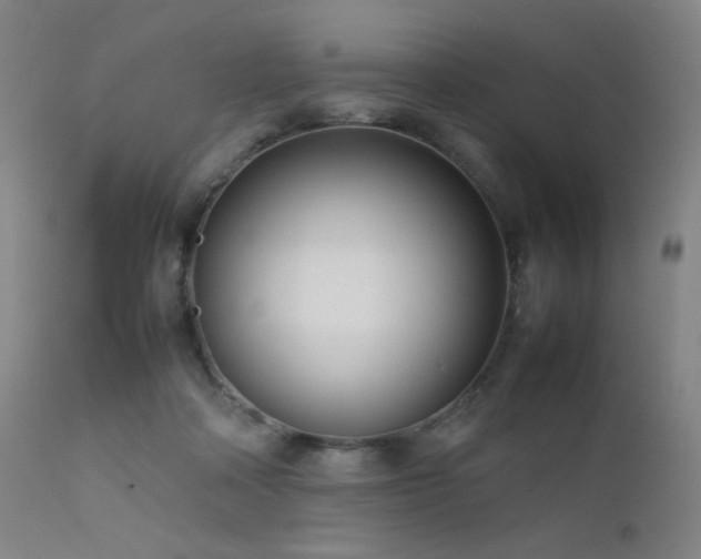 X0000111500314200907141319