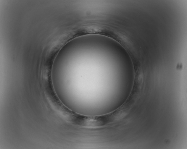 X0000111500315200907141319