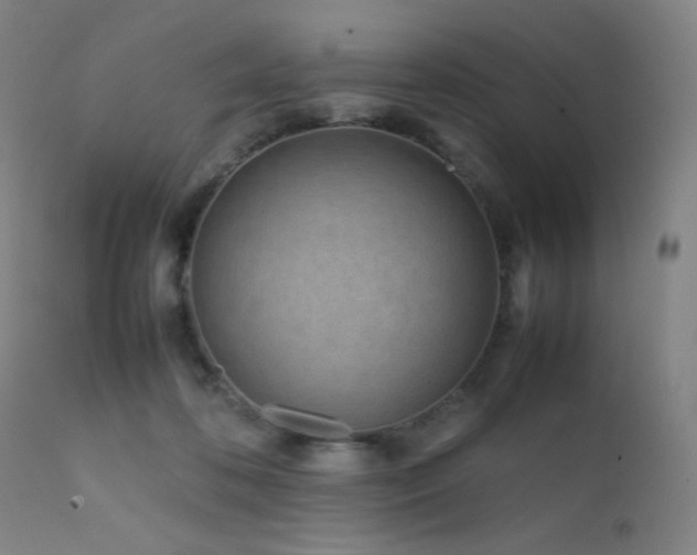 X0000111500316200907141319