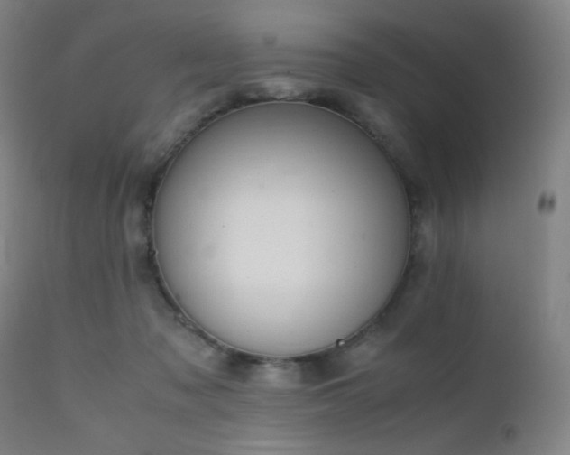 X0000111500317200907141319