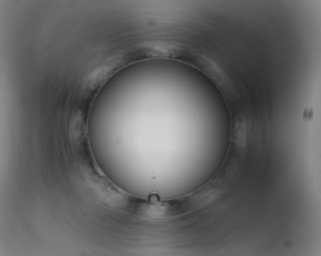 X0000111500318200907141319