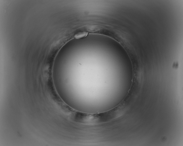 X0000111500319200907141319