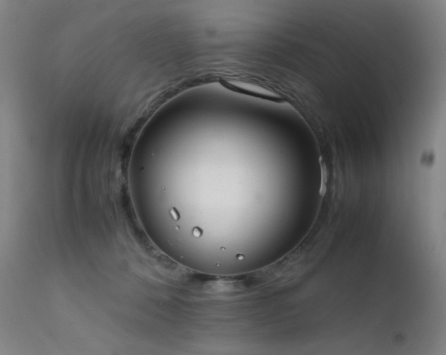 X0000111500320200907141319