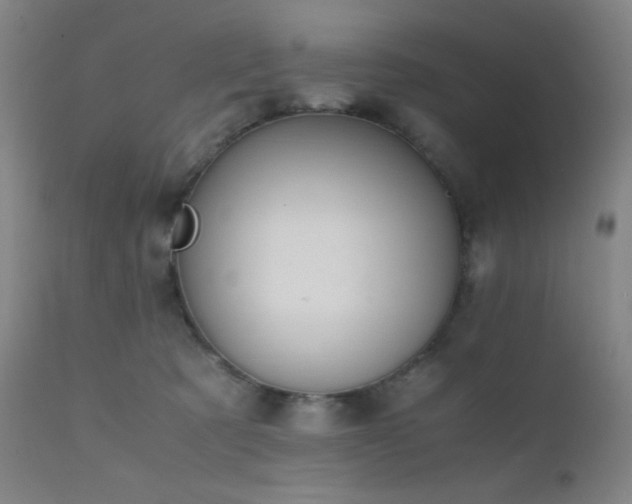 X0000111500321200907141319