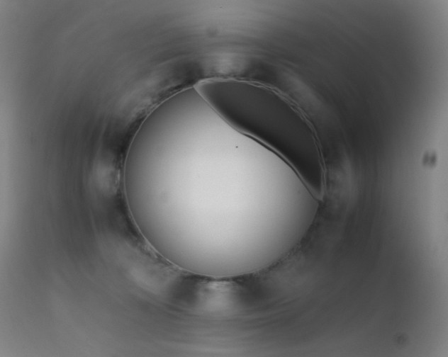 X0000111500324200907141318