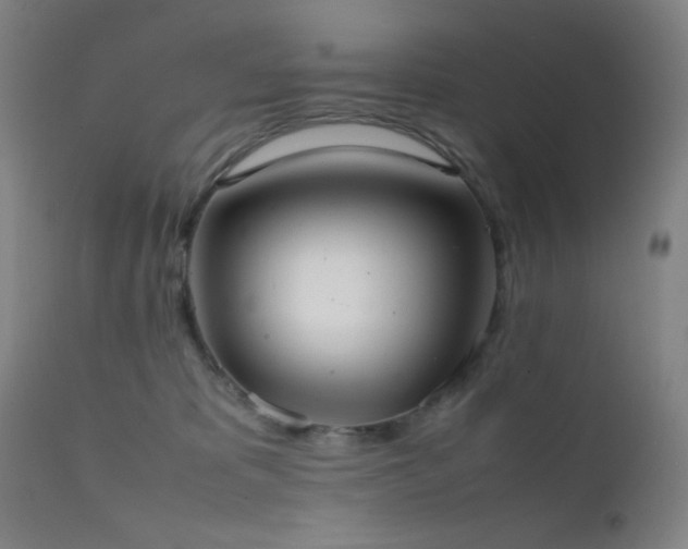 X0000111500325200907141318