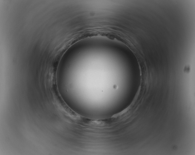 X0000111500328200907141318