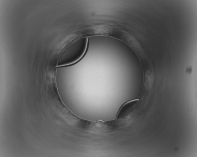 X0000111500329200907141318