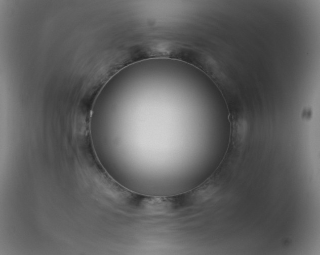 X0000111500331200907141318