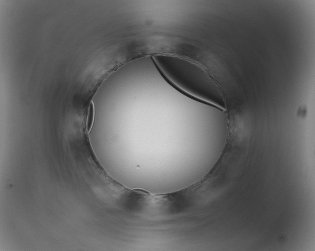 X0000111500333200907141318