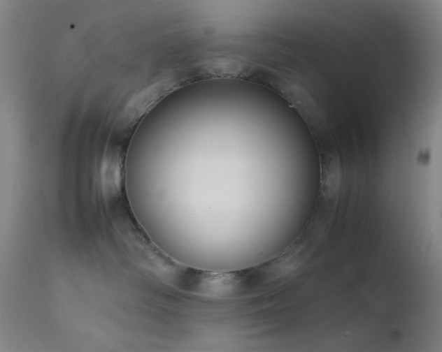 X0000111500334200907141318
