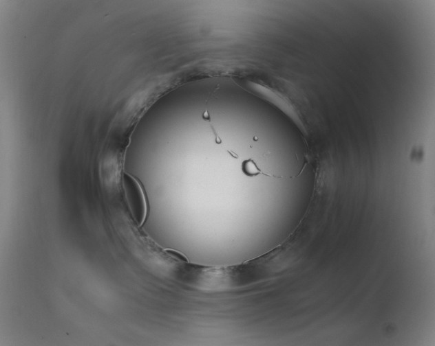 X0000111500335200907141318