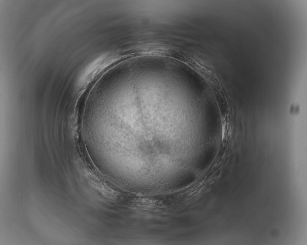 X0000111500339200907141317