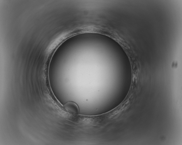 X0000111500341200907141317