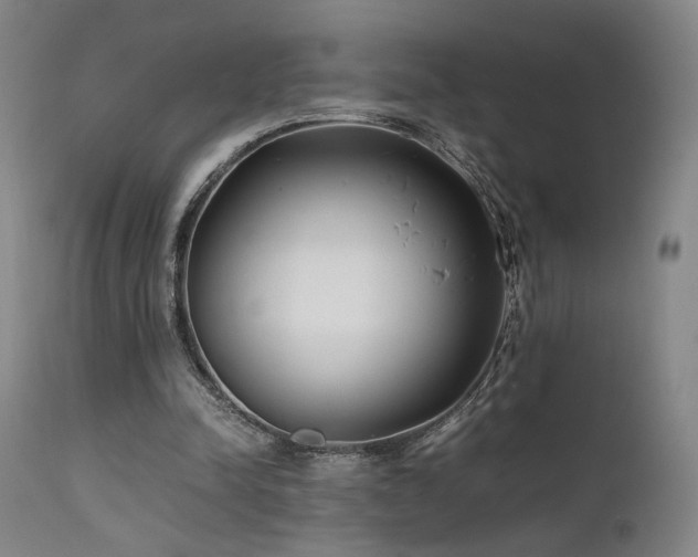 X0000111500342200907141317