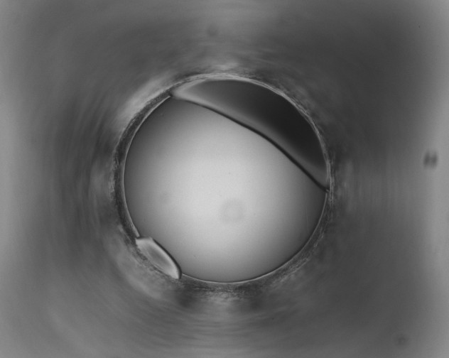 X0000111500344200907141317