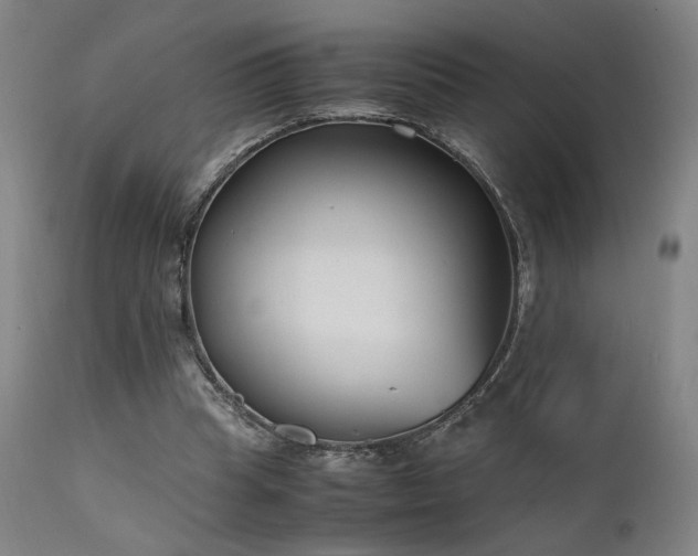 X0000111500345200907141317