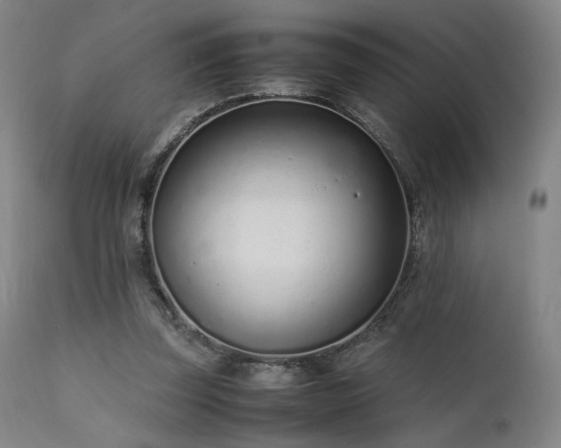 X0000111500347200907141318