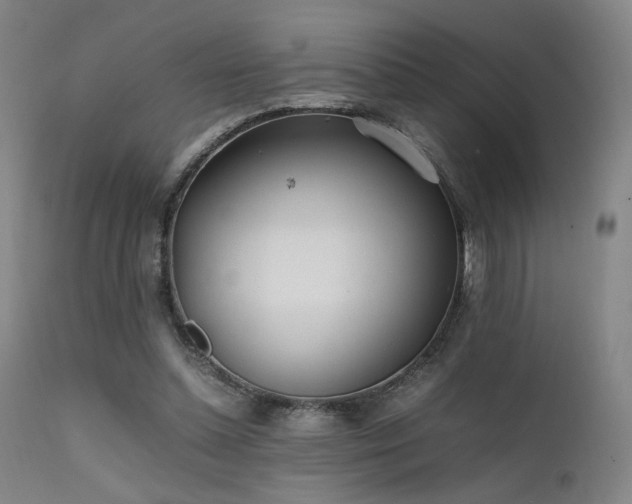 X0000111500348200907141318