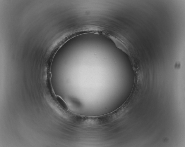 X0000111500350200907141318