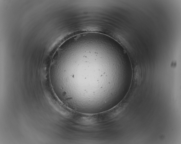 X0000111500351200907141318